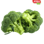 ბროკოლი