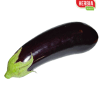 ბადრიჯანი