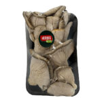 სოკო ხის 500 გრ.