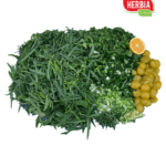 ჩაქაფულის მწვანილის მიქსი (1კგ ხორცზე).